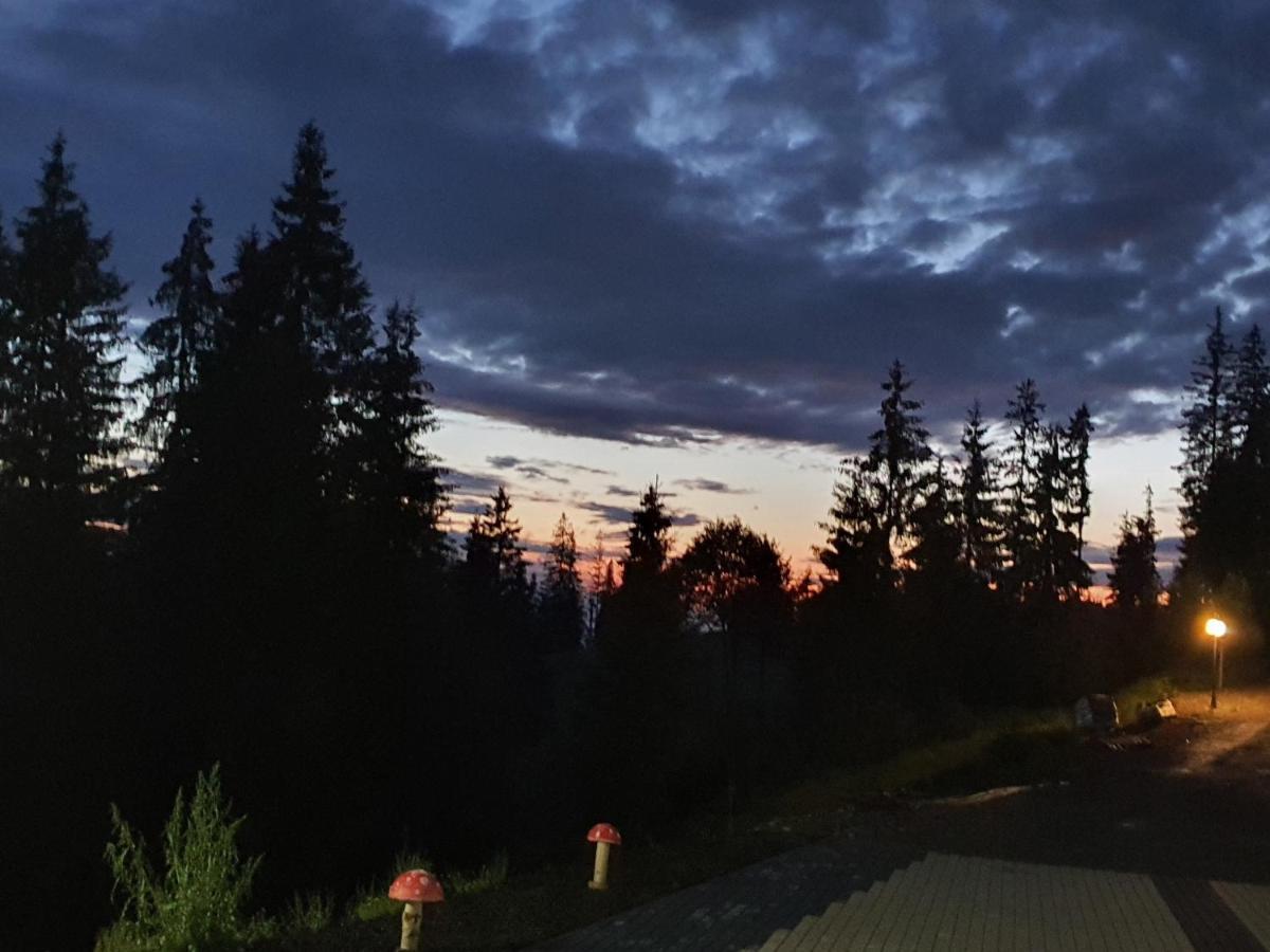 Casa Sofia Bucovina Hotel Ciumirna Екстериор снимка
