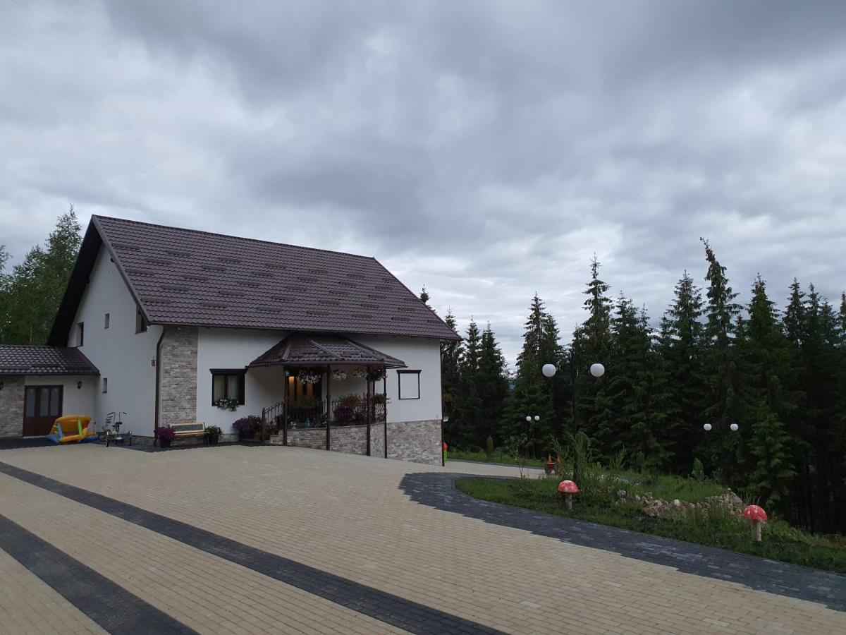 Casa Sofia Bucovina Hotel Ciumirna Екстериор снимка