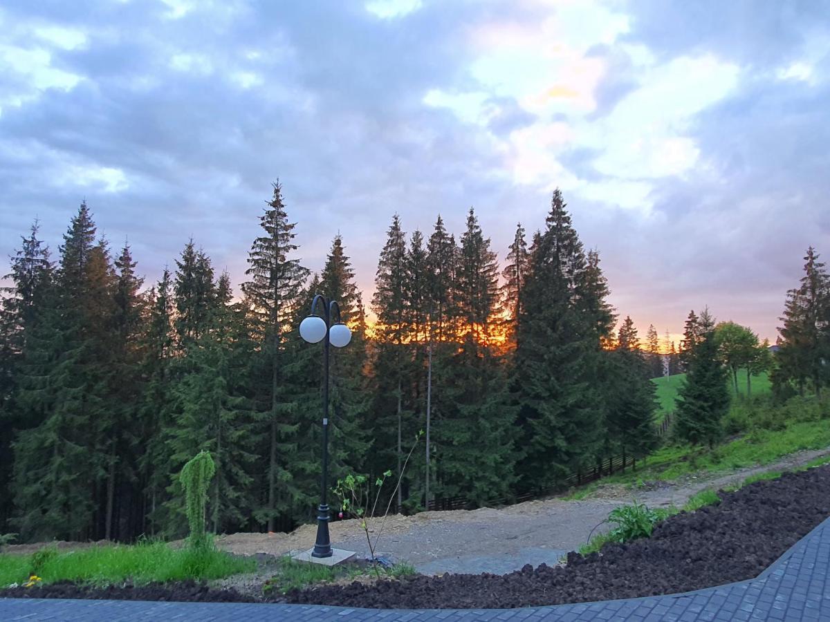 Casa Sofia Bucovina Hotel Ciumirna Екстериор снимка