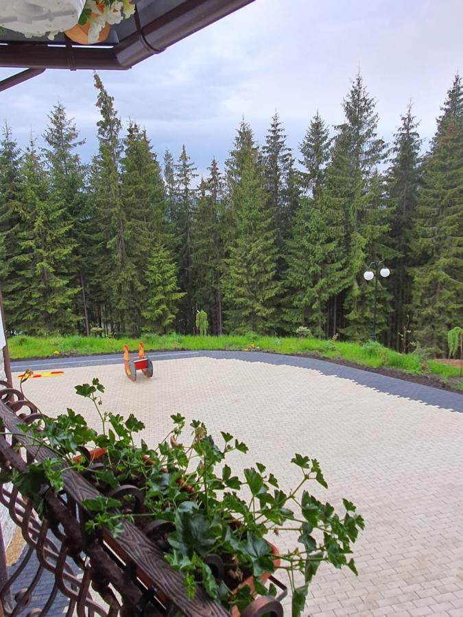 Casa Sofia Bucovina Hotel Ciumirna Екстериор снимка