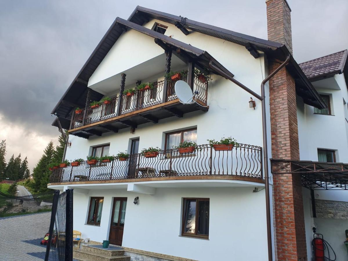 Casa Sofia Bucovina Hotel Ciumirna Екстериор снимка
