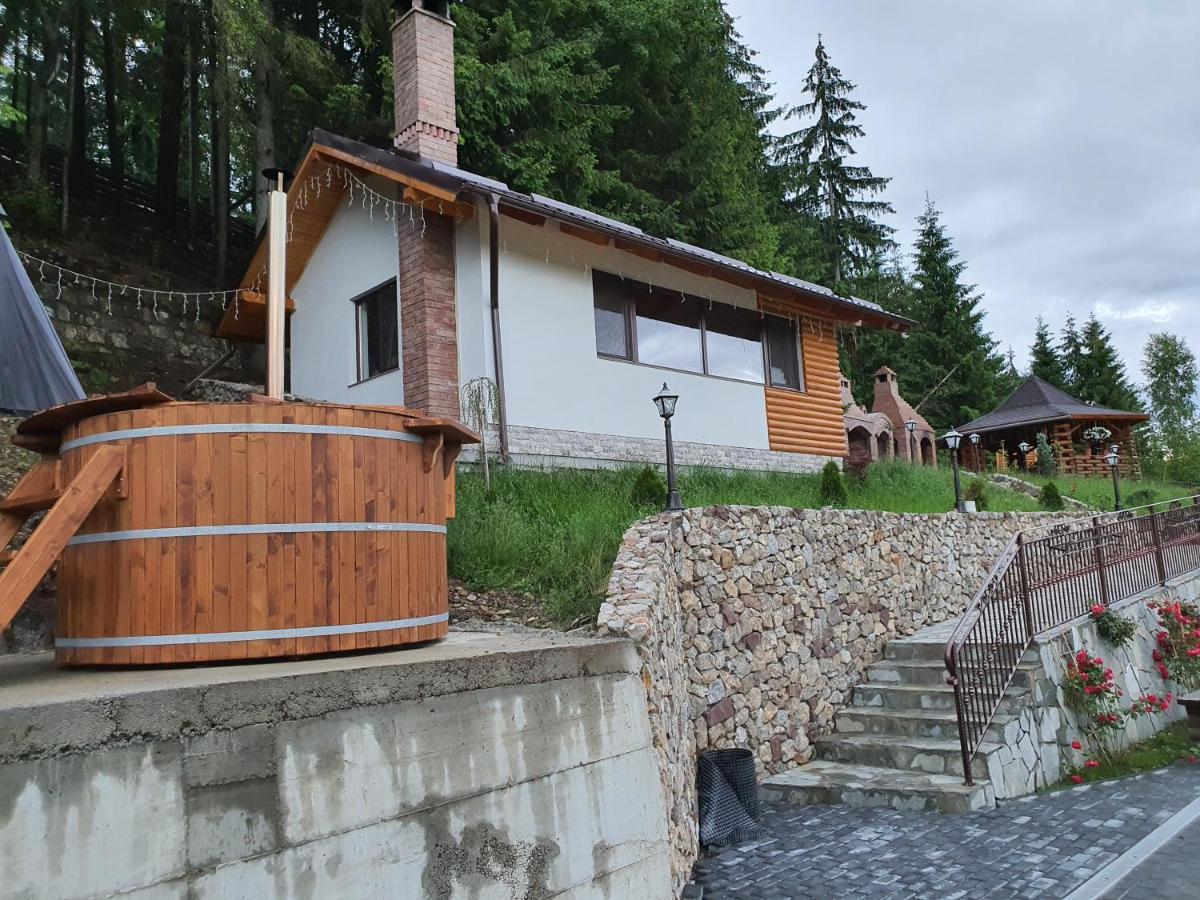 Casa Sofia Bucovina Hotel Ciumirna Екстериор снимка