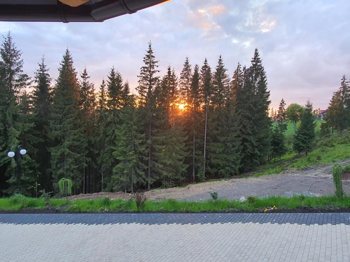Casa Sofia Bucovina Hotel Ciumirna Екстериор снимка