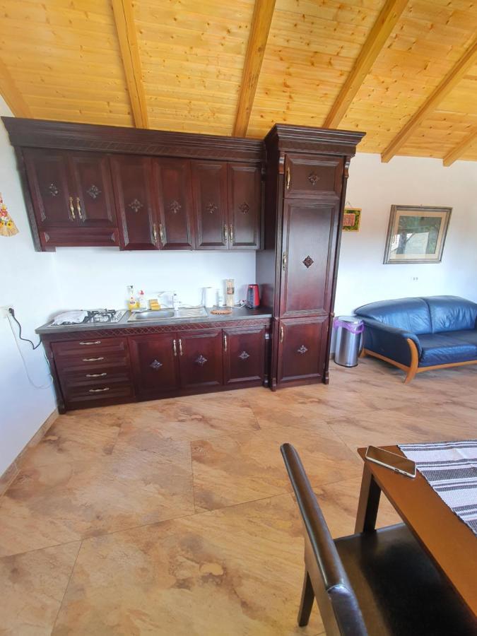 Casa Sofia Bucovina Hotel Ciumirna Екстериор снимка