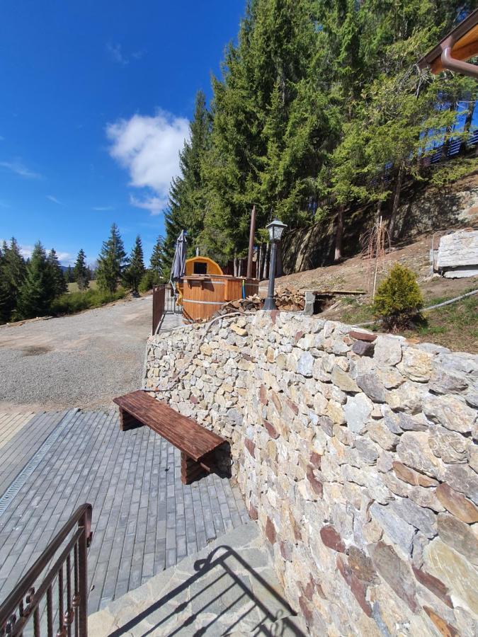 Casa Sofia Bucovina Hotel Ciumirna Екстериор снимка
