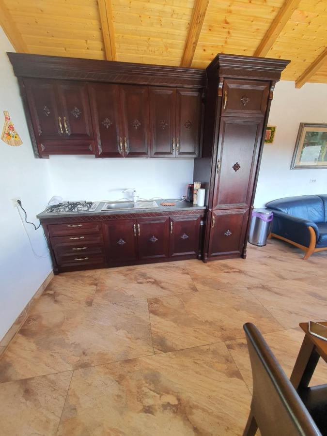 Casa Sofia Bucovina Hotel Ciumirna Екстериор снимка