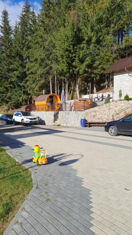 Casa Sofia Bucovina Hotel Ciumirna Екстериор снимка
