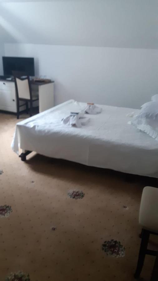 Casa Sofia Bucovina Hotel Ciumirna Екстериор снимка